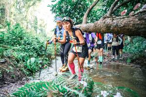 BIB: 
                            <button type="button" onclick="openModal(25478655)" class="btn btn-primary btn-sm float-right btn-popup" data-toggle="modal" data-target=".modal-high-quality">
                        <i class="fas fa-shopping-cart"></i> Add to Cart
                    </button>
                                            <button type="button" onclick="isThisMe(25478655, true)" class="btn btn-success btn-sm float-right btn-popup btn-isme hidden" data-toggle="tooltip" data-placement="bottom" title="นี่คือรูปของคุณใช่ไหม คลิกที่นี่เพื่อเอาเข้าอัลบั้ม">
                        <i class="fas fa-plus"></i> Add to album
                    </button>
                    <button type="button" onclick="isThisMe(25478655, false)" class="btn btn-warning btn-sm float-right btn-popup btn-isnotme hidden">
                        <i class="fas fa-ban"></i> Remove from album
                    </button>